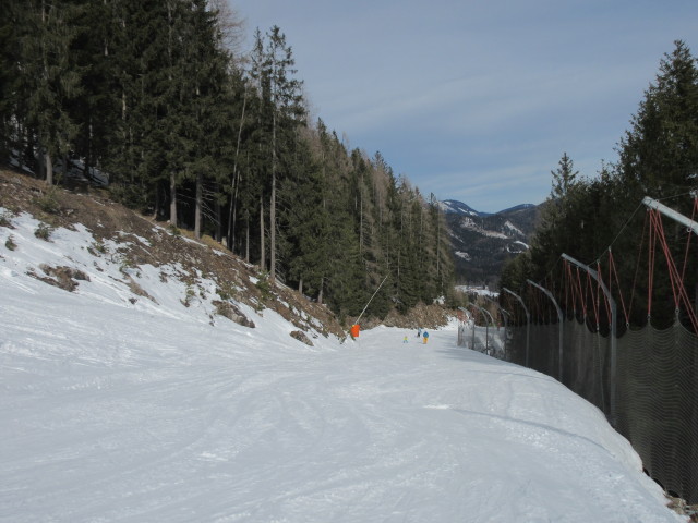 Birkiabfahrt