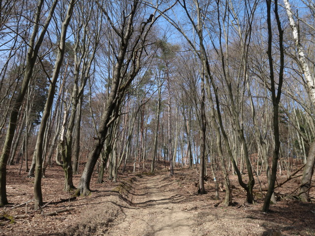 Geißberg