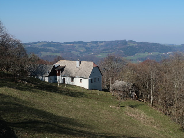 Sengeneben