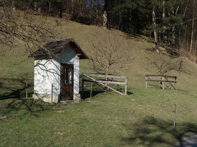 Steirer, 476 m