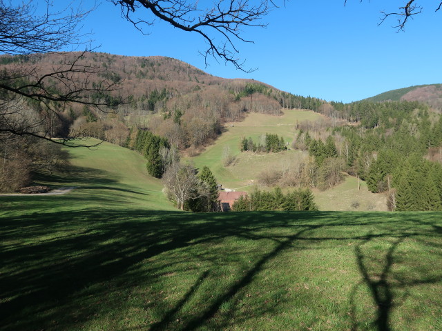 Solleneck