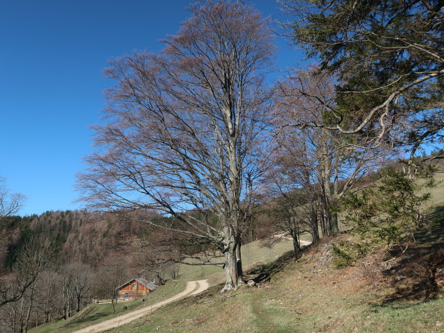 Weißenbachalm