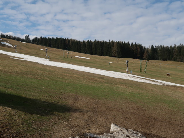 Schieferwiese