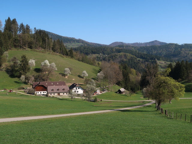 Poldl im Reit