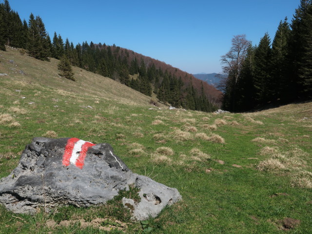 Dachsental