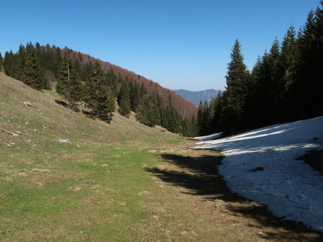 Dachsental