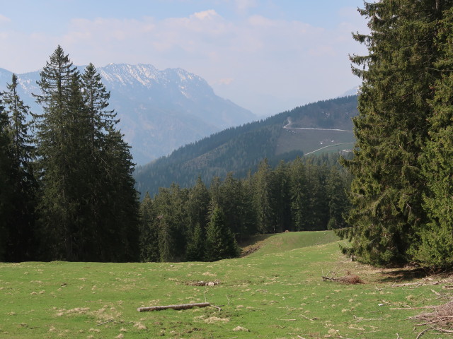zwischen Hochschlag und Turnhöhe