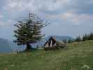 Schlageralm