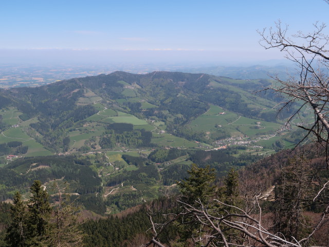 Pernecker Kogel
