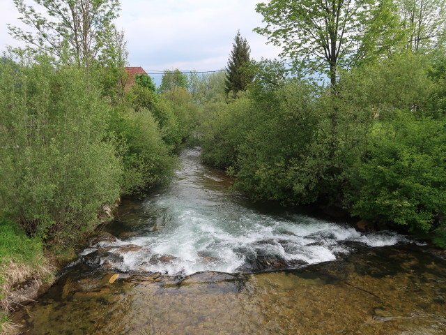 Teichl