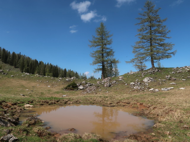 Stubwiesalm