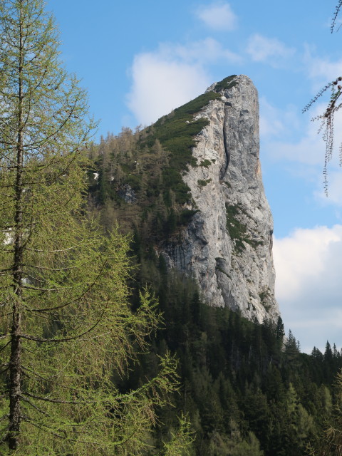 Stubwieswipfel