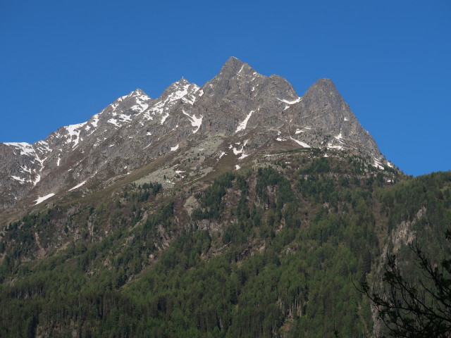Hundsfölle