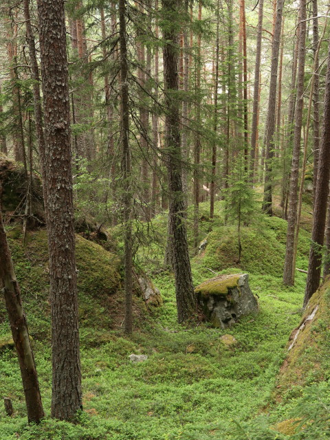 Taufererberg