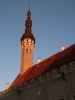 Tallinna raekoda (26. Juni)