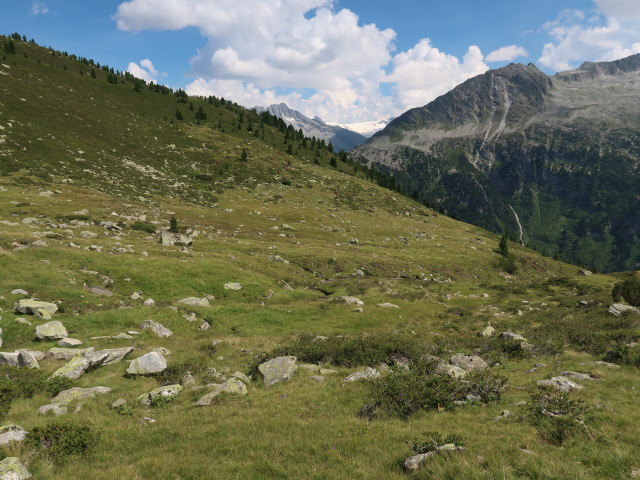 Lapenkar (10. Aug.)