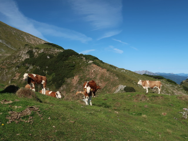 Auerloch (5. Sept.)