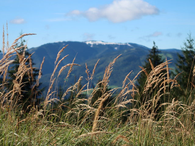 Tirolerkogel