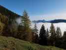 zwischen Bichlberg und Langeckalm