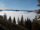zwischen Langeckalm und Widdernalm