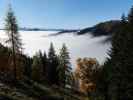 zwischen Langeckalm und Widdernalm