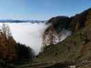 zwischen Langeckalm und Widdernalm
