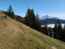 zwischen Langeckalm und Widdernalm