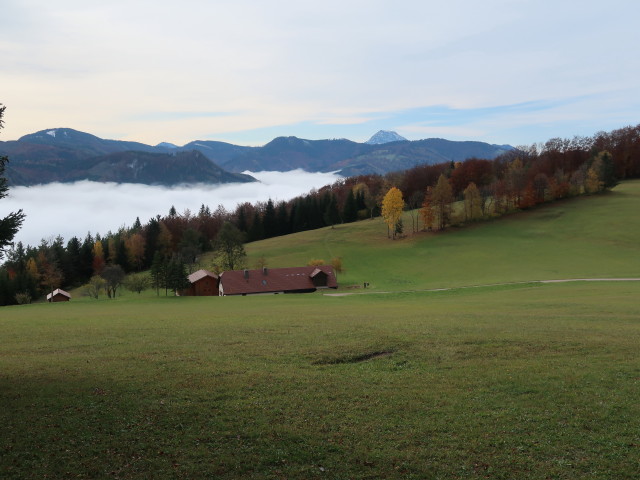 Loicheck, 878 m