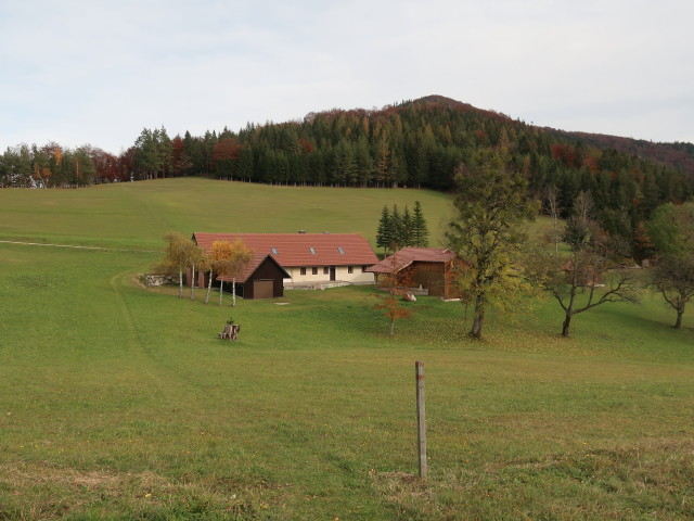 Loicheck, 878 m