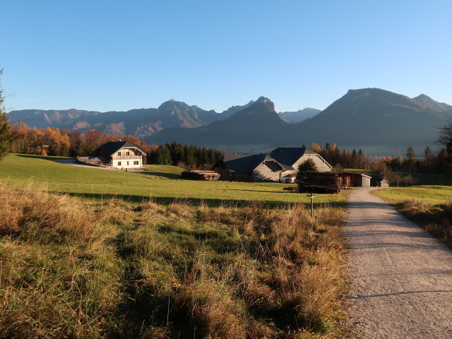 Aschenschwand