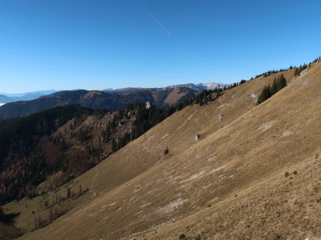 Sattelmauer