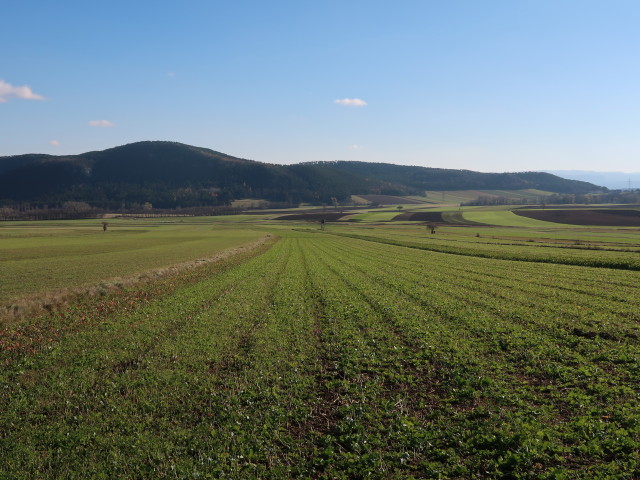 Neue Welt