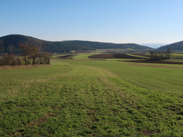 Neue Welt