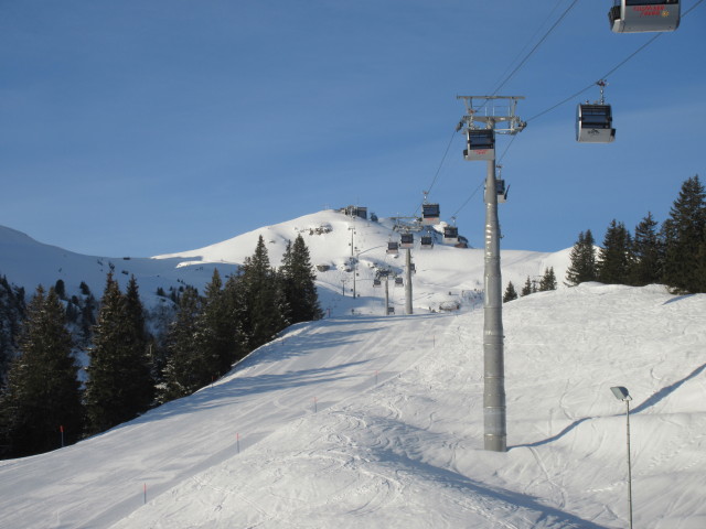BergJet