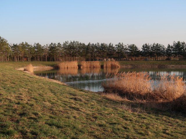 Badesee Trasdorf