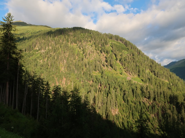 Langschneid