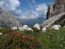beim Rifugio Brentei, 2.182 m (20. Juli)
