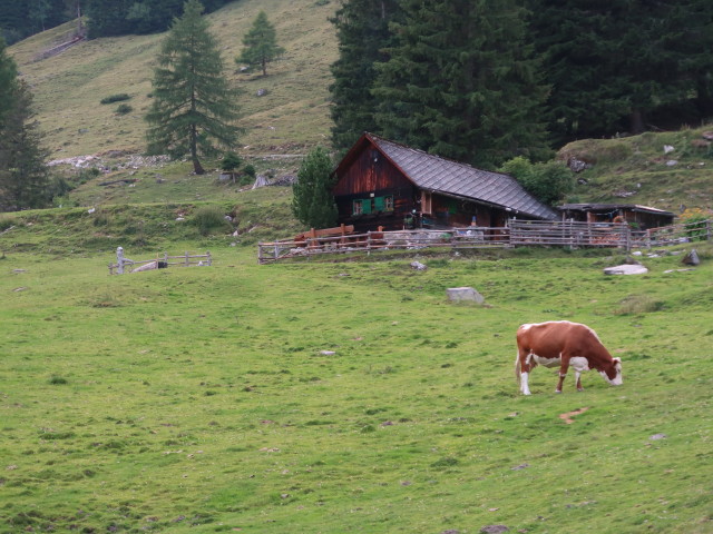 Stubalm (23. Juli)
