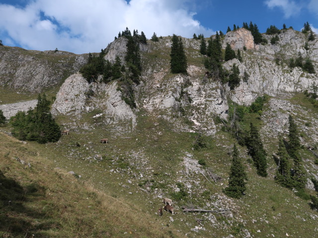 Lachalpengraben