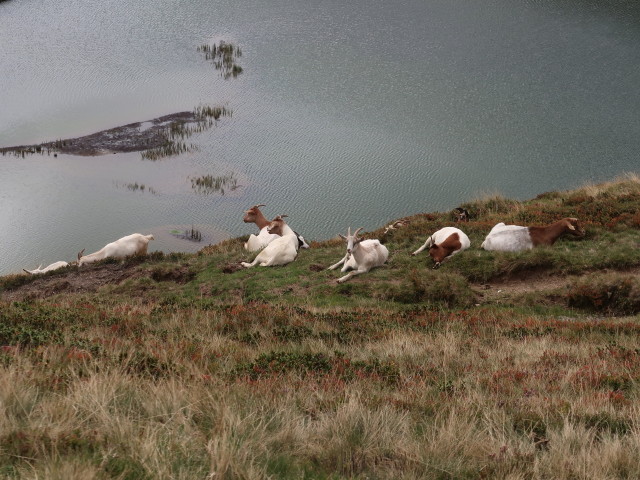Hundsteinsee