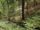zwischen Mariensee und Innerneuwald