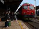 D 210 im Zagreb Glavni kolodvor (1. Nov.)
