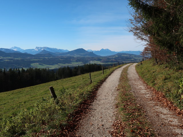 Schernthan