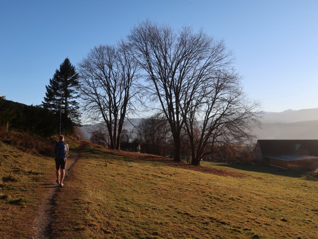 Frank in Fohnsdorf