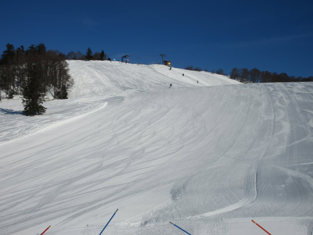 Anzenbergalmpiste