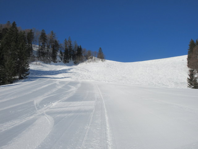 Anzenbergalmpiste