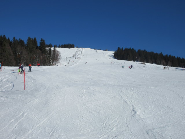 Wieserhörndlpiste