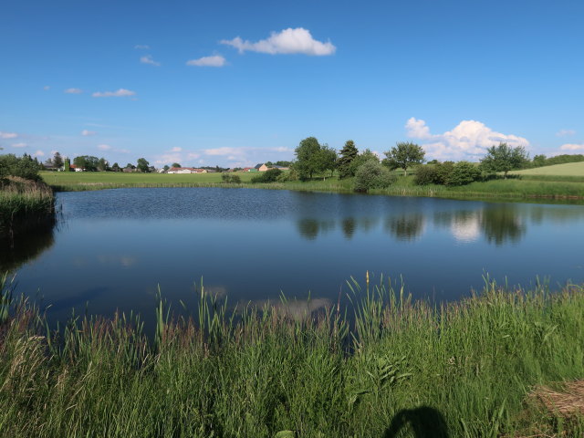 Jetzleser Teich