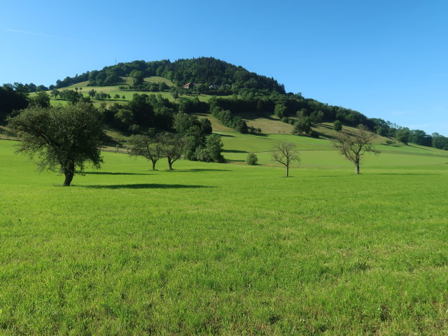 Fronberg