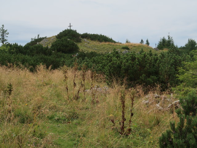 Tonion, 1.699 m